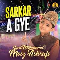 Sarkar A Gye