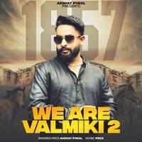 WE ARE VALMIKI 2