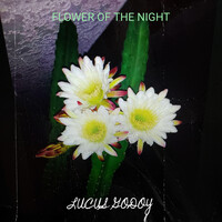 Flower of the Night