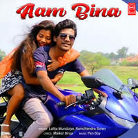 Aam Bina