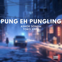 Pung Eh Pungling (Original Nyshi Soundtrack)