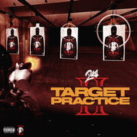 Target Practice II