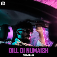 Dill DI Numaish