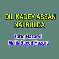 Dil Kadey Assan Nai Bulda