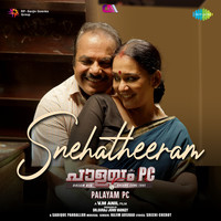 Snehatheeram (From "Palayam PC")