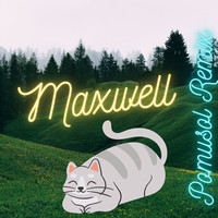 Maxwell (Remix)