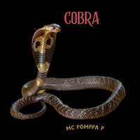 Cobra