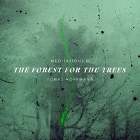 Meditations III: The Forest for the Trees