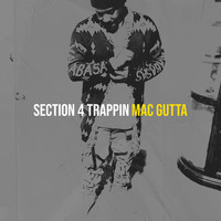 Section 4 Trappin