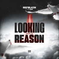 Looking for a Reason