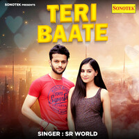 Teri Baate