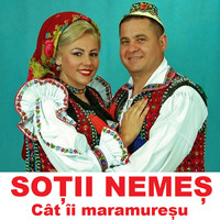 Cat Îi Maramuresu