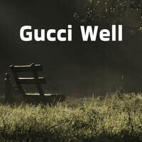 Gucci Well