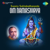 Swamy Sukhabodhananda-Om Namasivaya