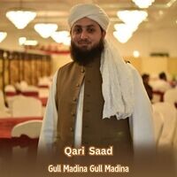 Gull Madina Gull Madina