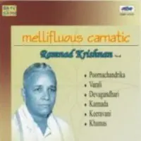 Mellifluous Carnatic Music By Ramnad Krishnan
