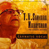 T.V. Sankaranarayanan - The Carnatic Maestro