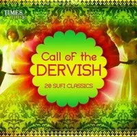 Call of the Dervish - 20 Sufi Classics