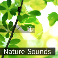 Nature Sounds