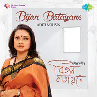 Bijan Batayane