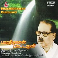 Bharathidaasan Paattaruvi