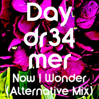 Now I Wonder (Alternative Mix)