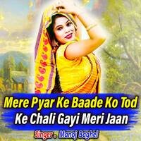 Mere Pyar Ke Baade Ko Tod Ke Chali Gayi Meri Jaan