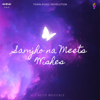 Samjho Na Meets Wishes (Remix)