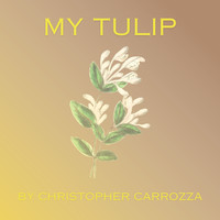 My Tulip