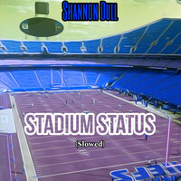 Stadium Status (Slowed)