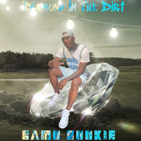 Diamond in the Dirt