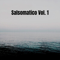 Salsomatico, Vol. 1