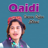 Qaidi