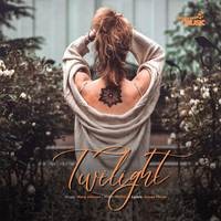 Twilight Song Download: Play & Listen Twilight all MP3 Song by Mary ...