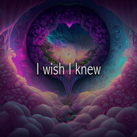 I Wish I Knew