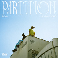 Partition