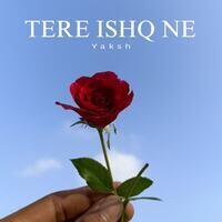 Tere Ishq Ne