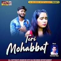 Teri Mohabbat