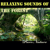 Relaxing Sounds of the Forest