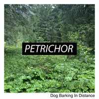 Petrichor