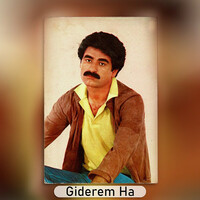 Giderem Ha İbrahim Tatlıses