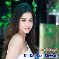 Dil Ko Haal Mewati