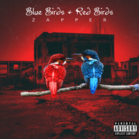 Bluebirds & Redbirds