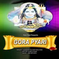 Gora Pyari