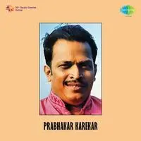 Prabhakar Karekar
