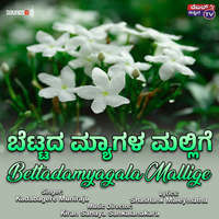 Bettadamyagala Mallige