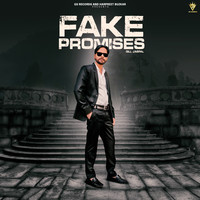 Fake Promises