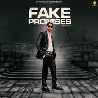 Fake Promises