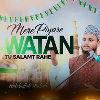 Mere Piyare Watan Tu Salamt Rahe