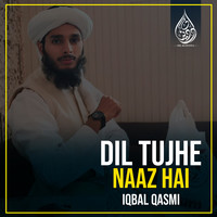 Dil Tujhe Naaz Hai